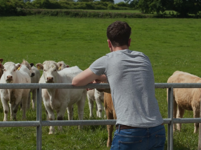 An ABP farmer leaning on a farm railing looking at ABP cattle