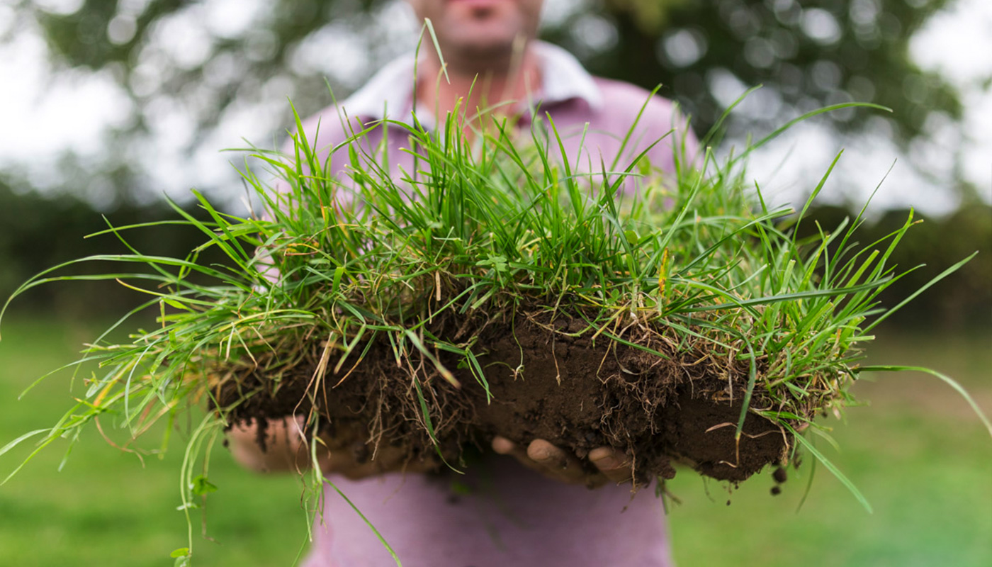 A farmer holding a lump of sod