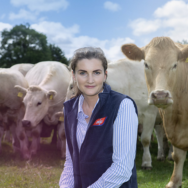 ABP Ireland representative in a field with ABP cattle