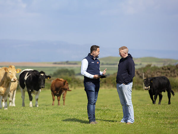 ABP sales rep in a field talking to a camera