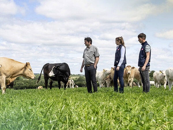 Two ABP advisors standing with a farmer in a field