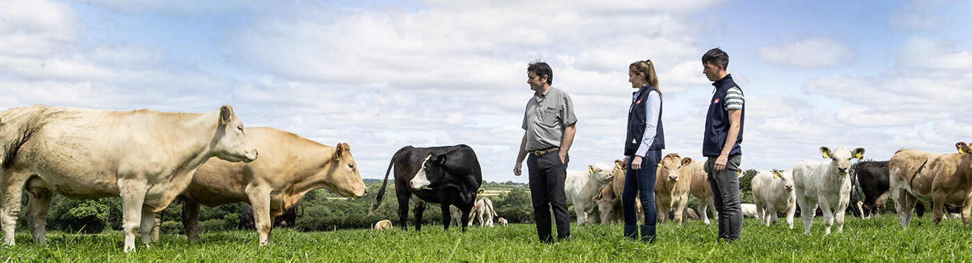 ABP representatives with a farmer in a field