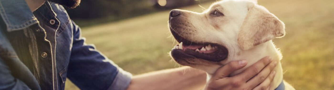 A man petting a dog