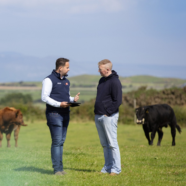 ABP representative talking to a farmer