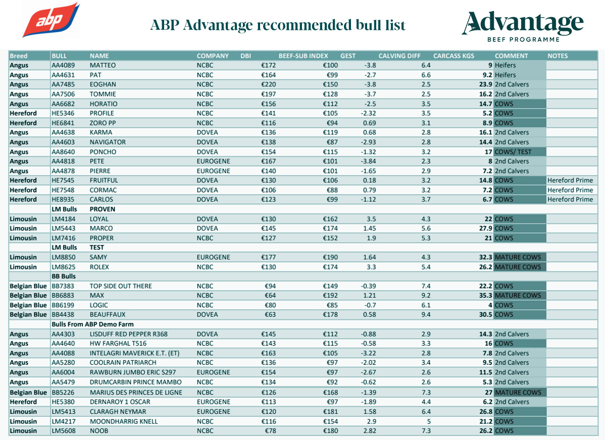 Advantage Beef Recommended Bull List