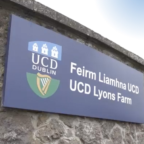 UCD Lyons Farm
