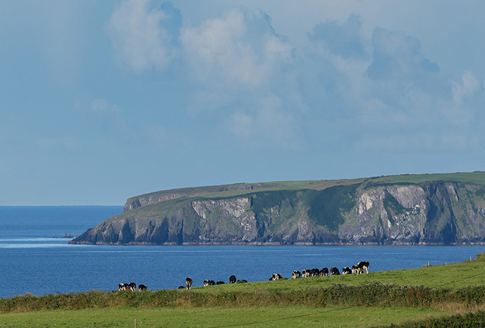 ABP sustainability landscape