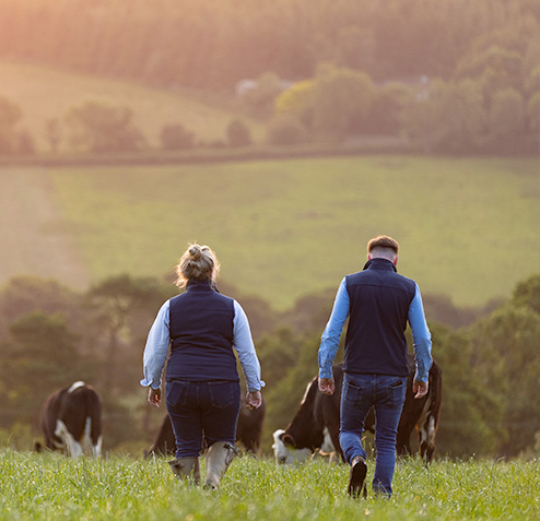 APB staff walking a meadow