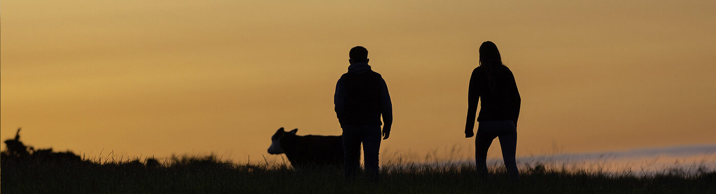 ABP Awards people on hill at sunset