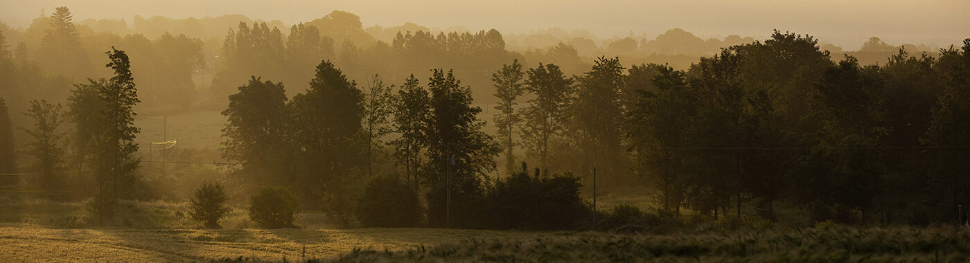Irish Landscape ABP Ireland