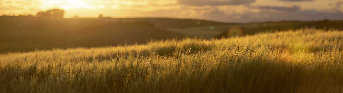 ABP Sustainability story - landscape