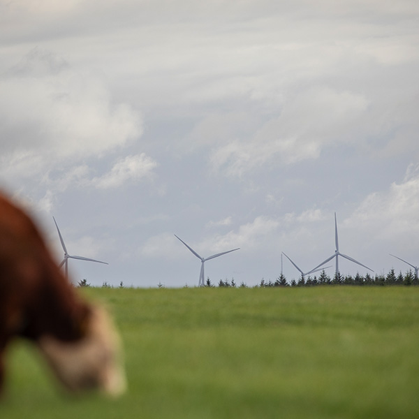 Wind turbines in the distance