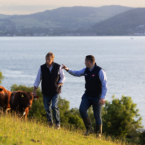 Advantage Beef Advisor meeting farmer